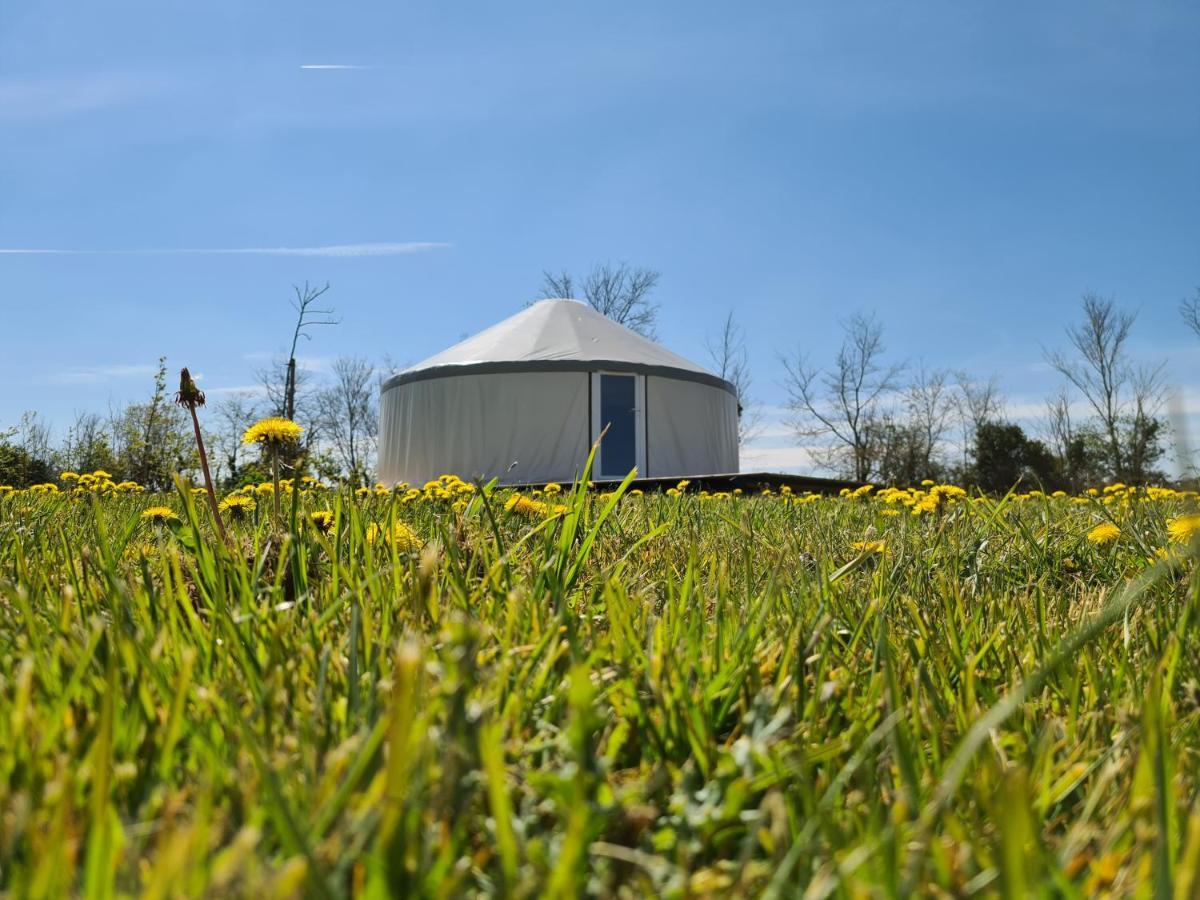 Camping A La Ferme - Hebergements Insolites Cerisy-la-Foret 外观 照片